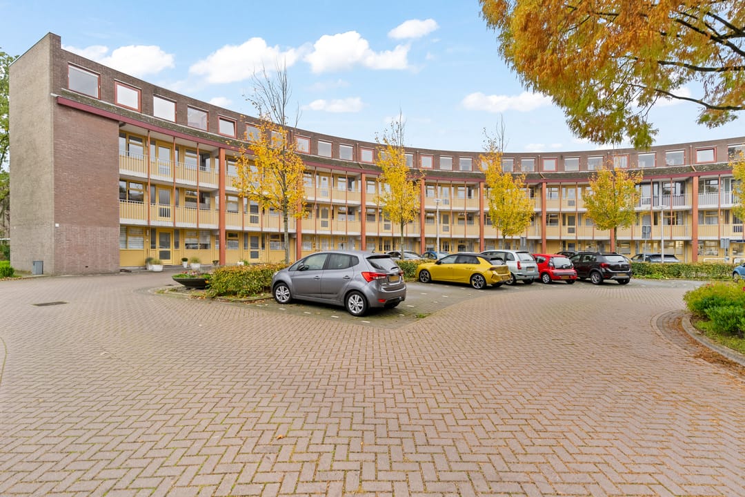 Photo 32 of Omnium 52