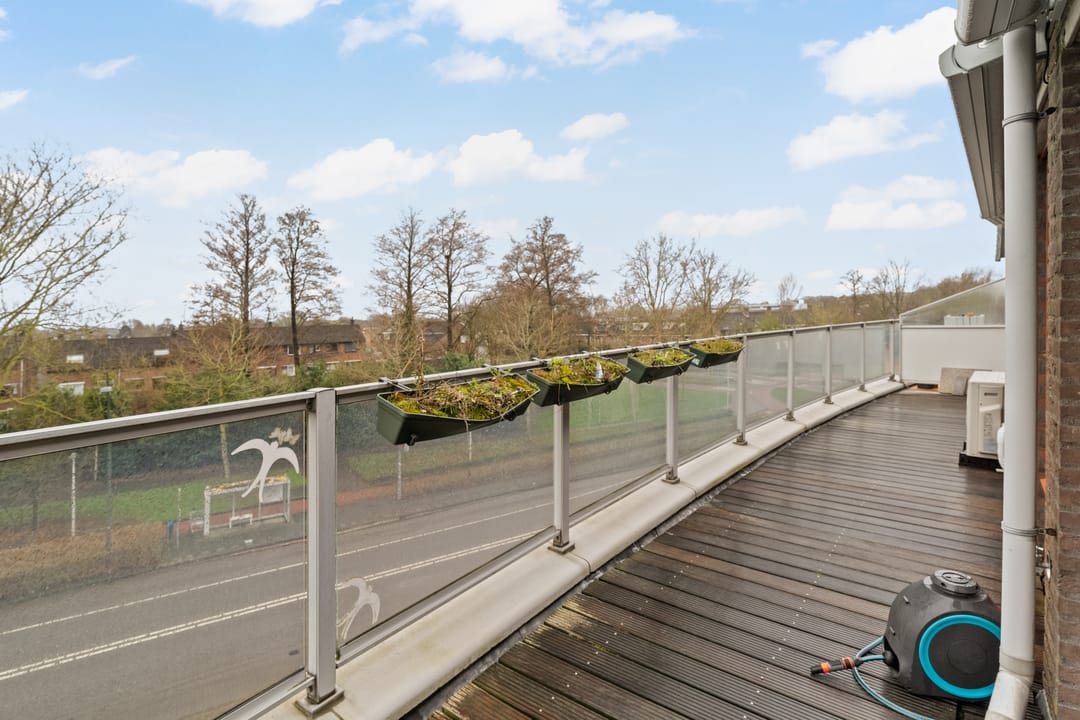 Photo 37 of Omnium 52