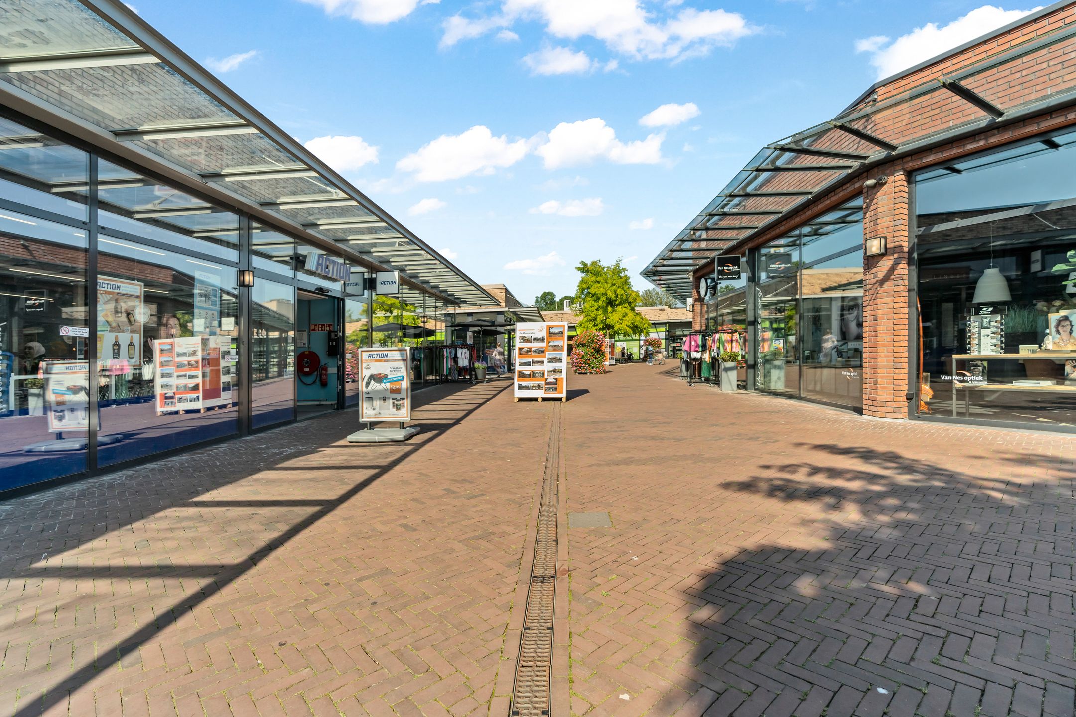 Photo 42 of Omnium 52