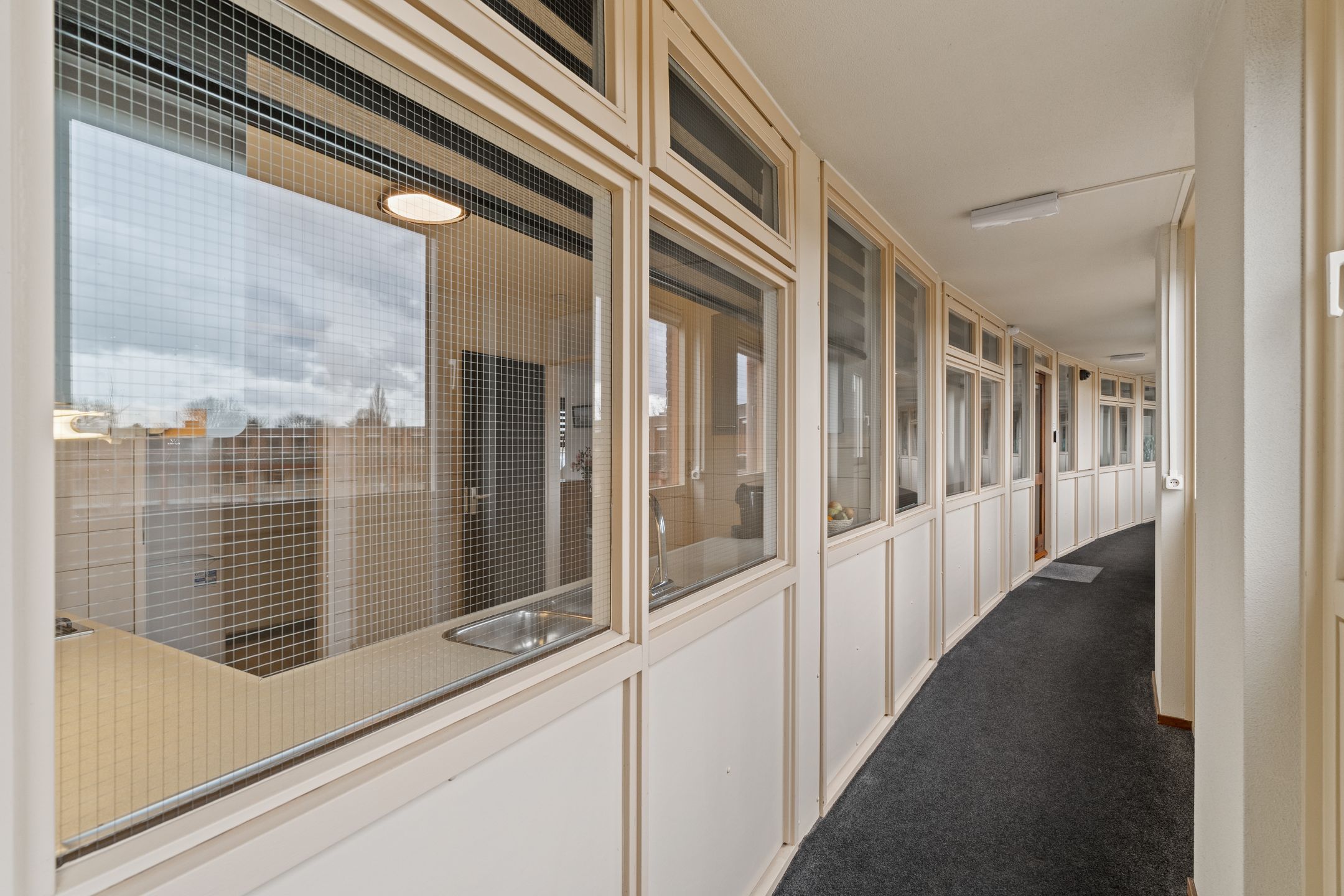 Photo 33 of Omnium 52