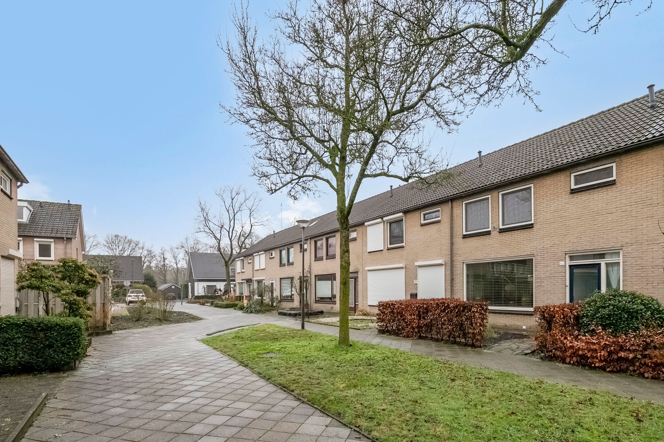 Photo 39 of Bosveld 425