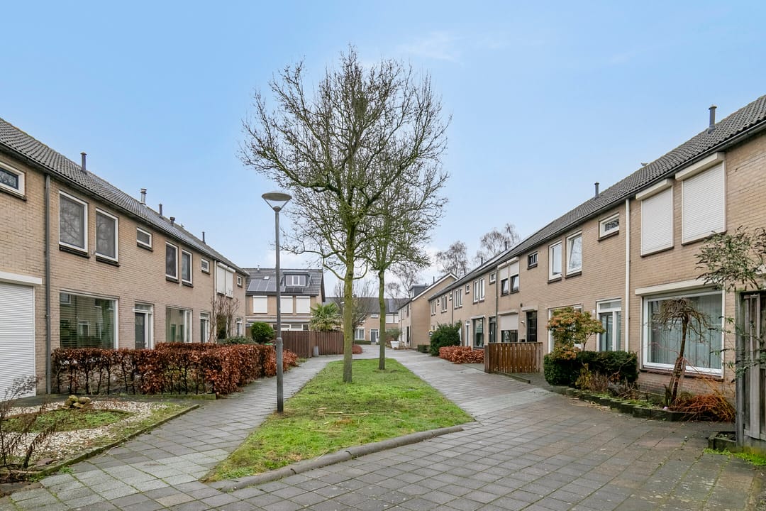 Photo 41 of Bosveld 425