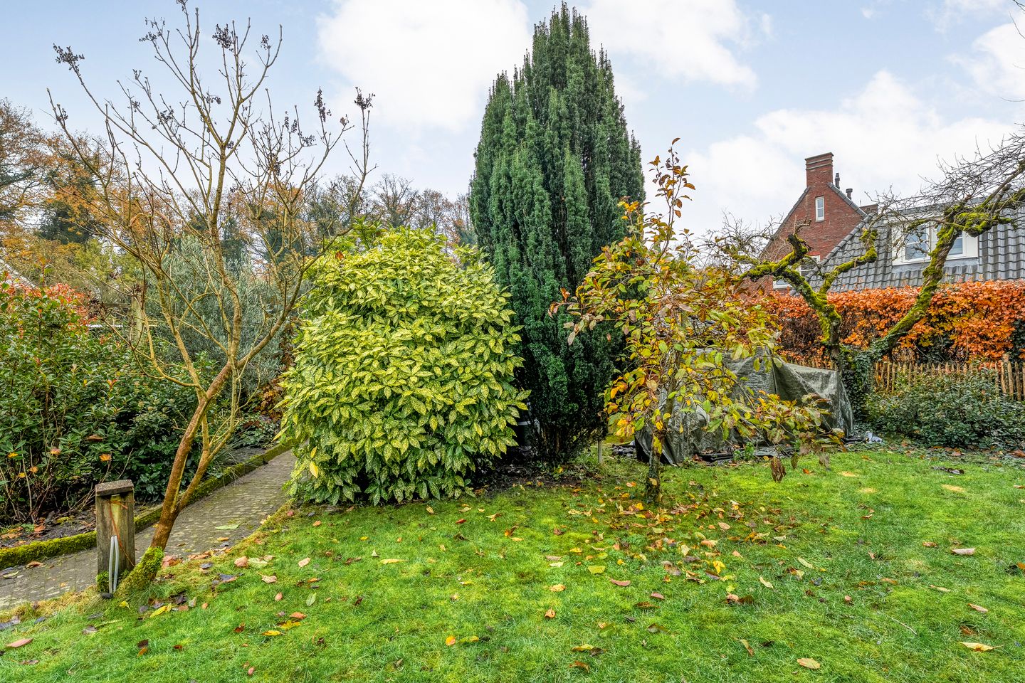 Foto 44 van Koestraat 12