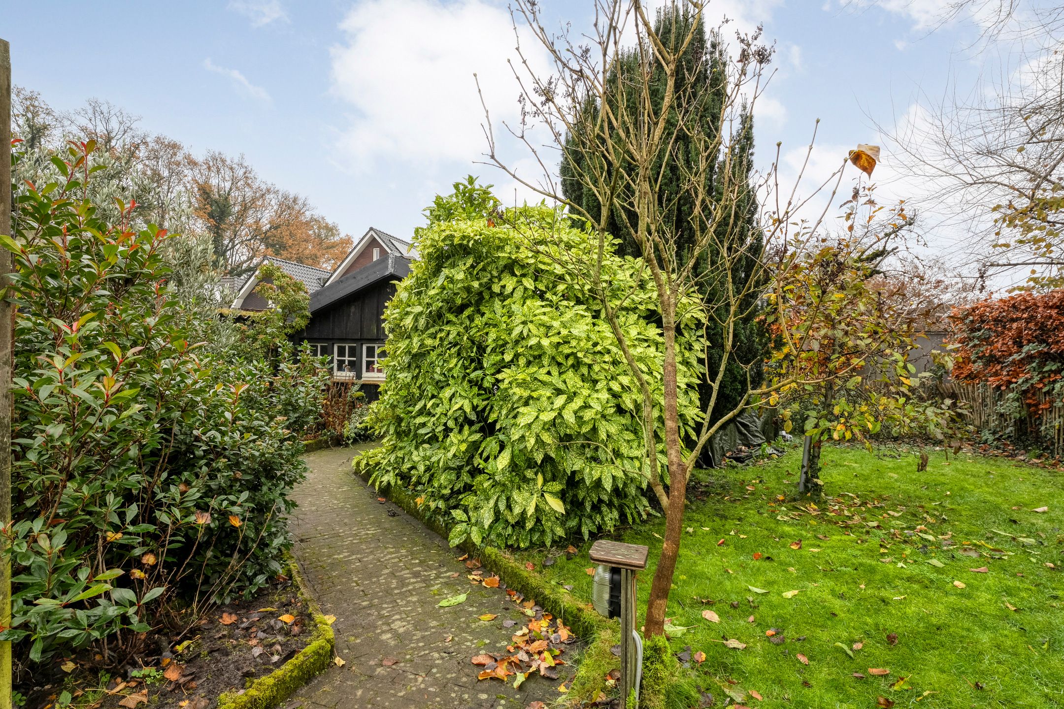 Foto 42 van Koestraat 12