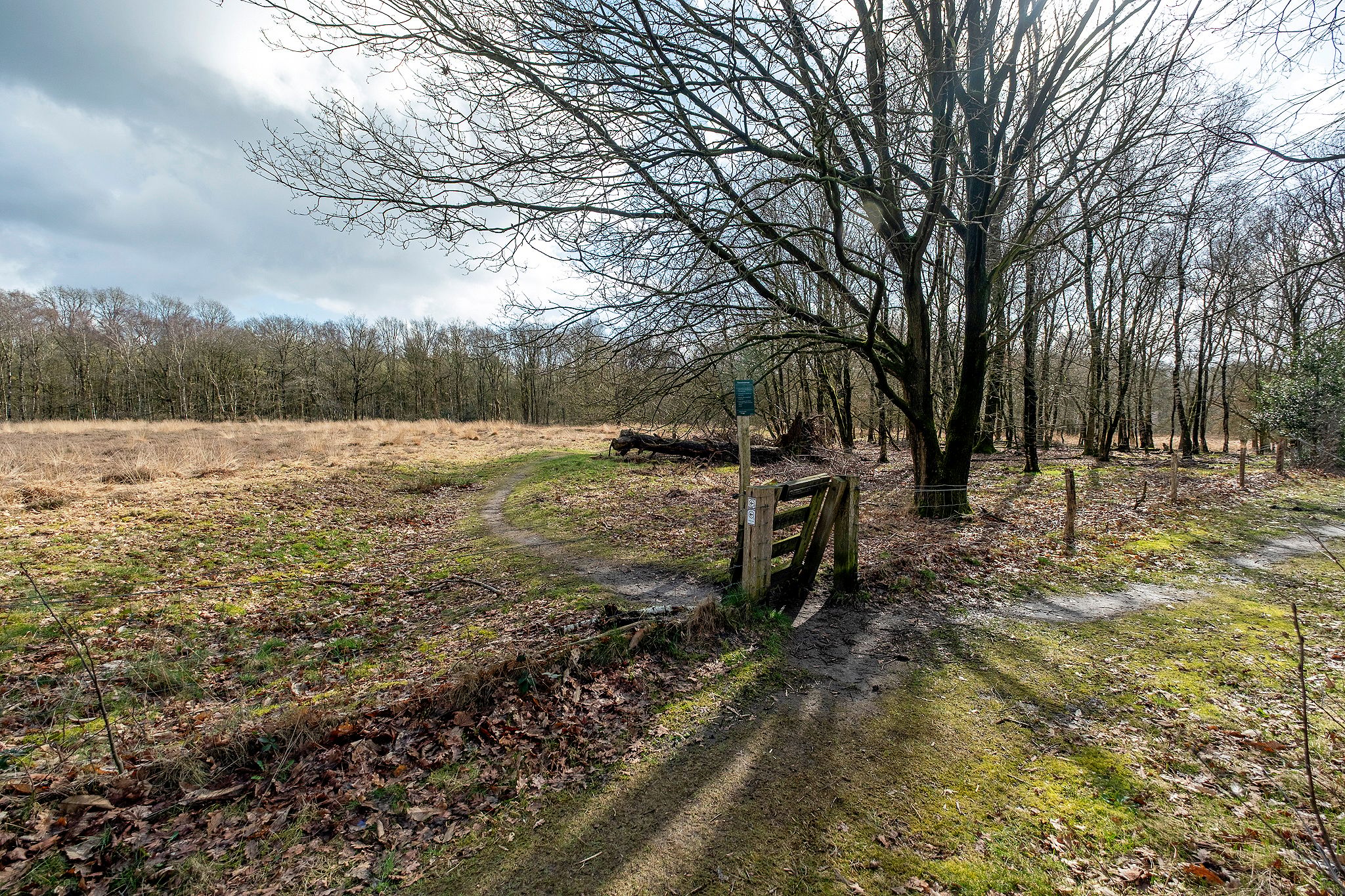 Foto 33 van Wijsterseweg 18-19
