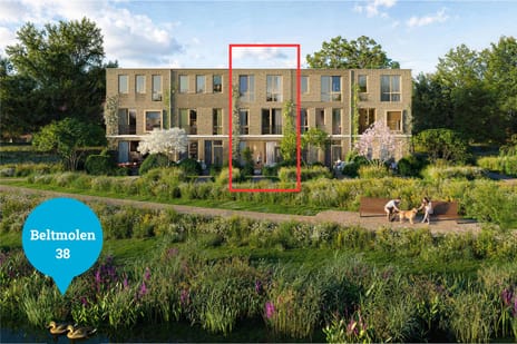 Parkvilla's main image