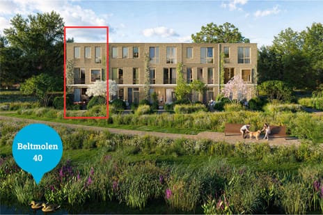 Parkvilla's main image