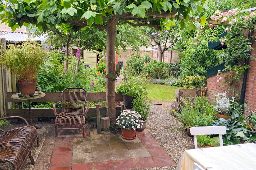 Foto 41 van Zeglis 36