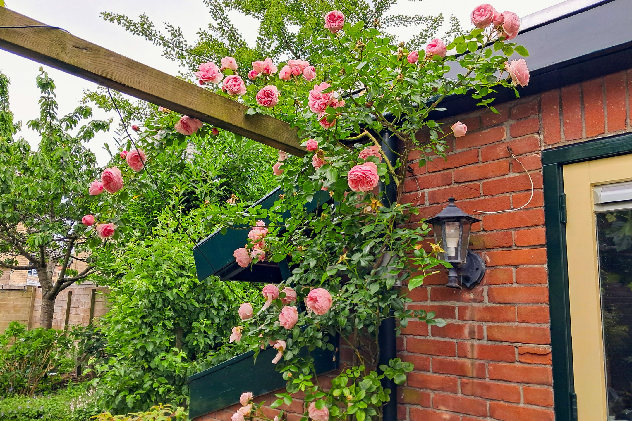 Foto 42 van Zeglis 36