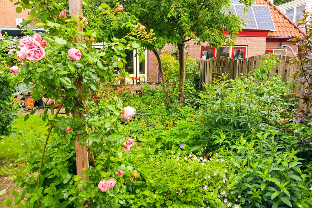 Foto 43 van Zeglis 36