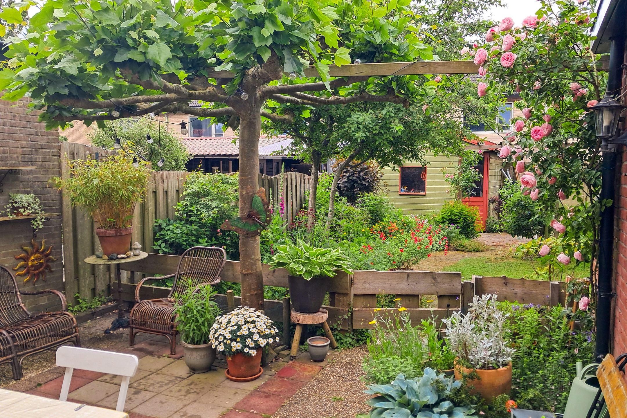 Foto 45 van Zeglis 36