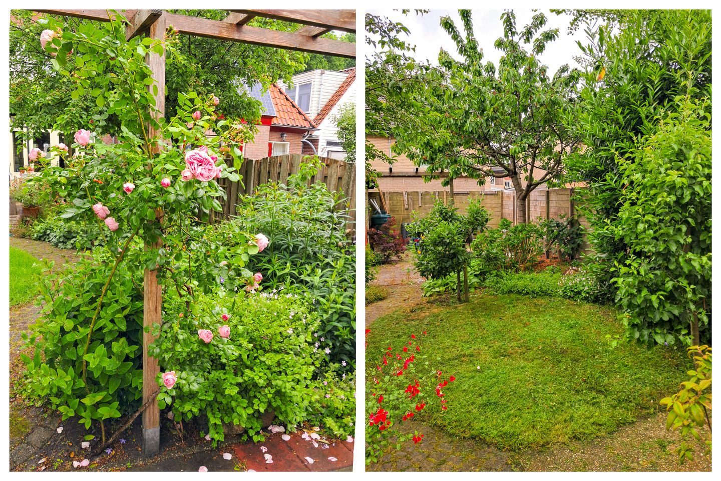 Foto 44 van Zeglis 36