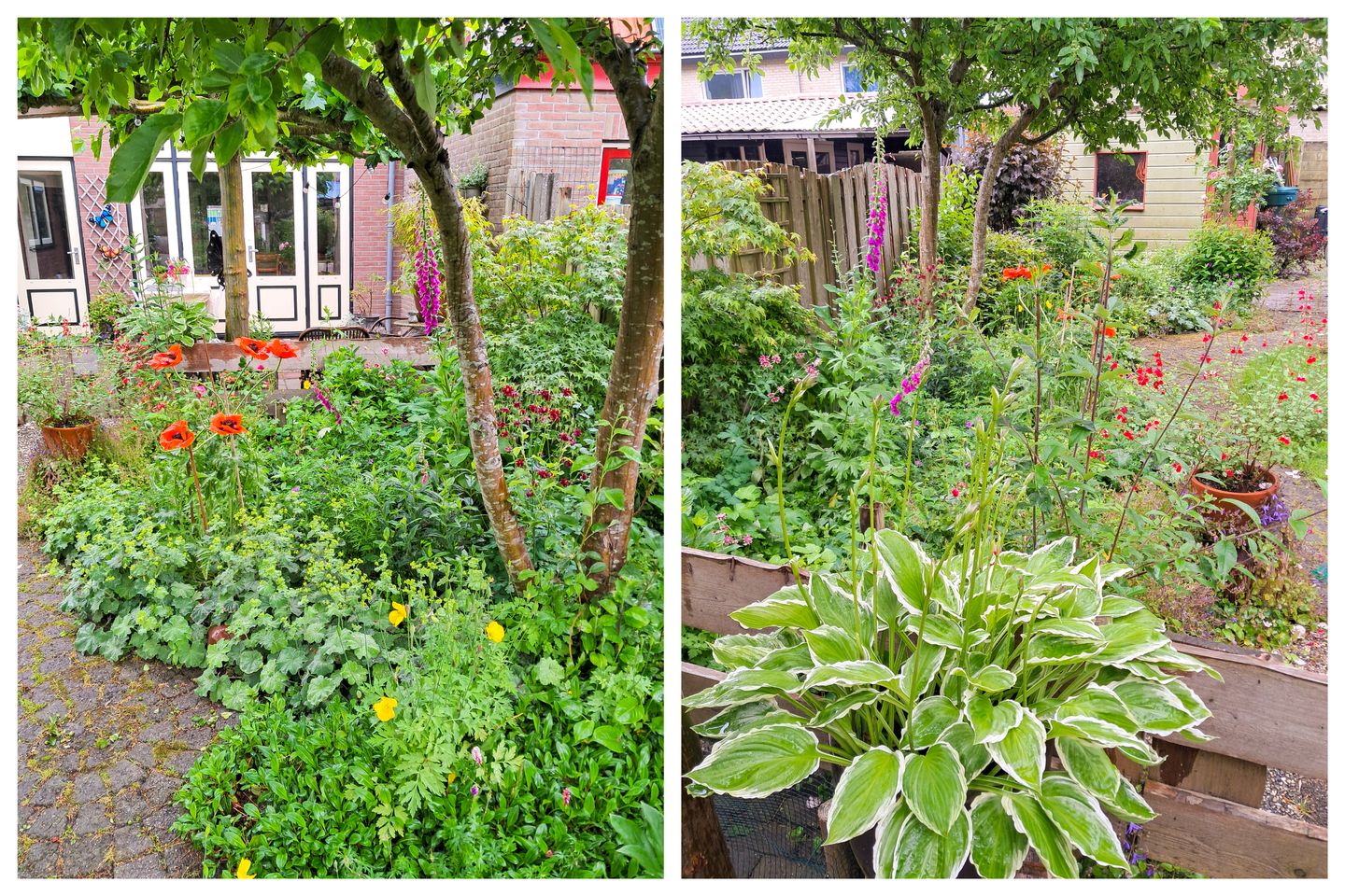 Foto 40 van Zeglis 36