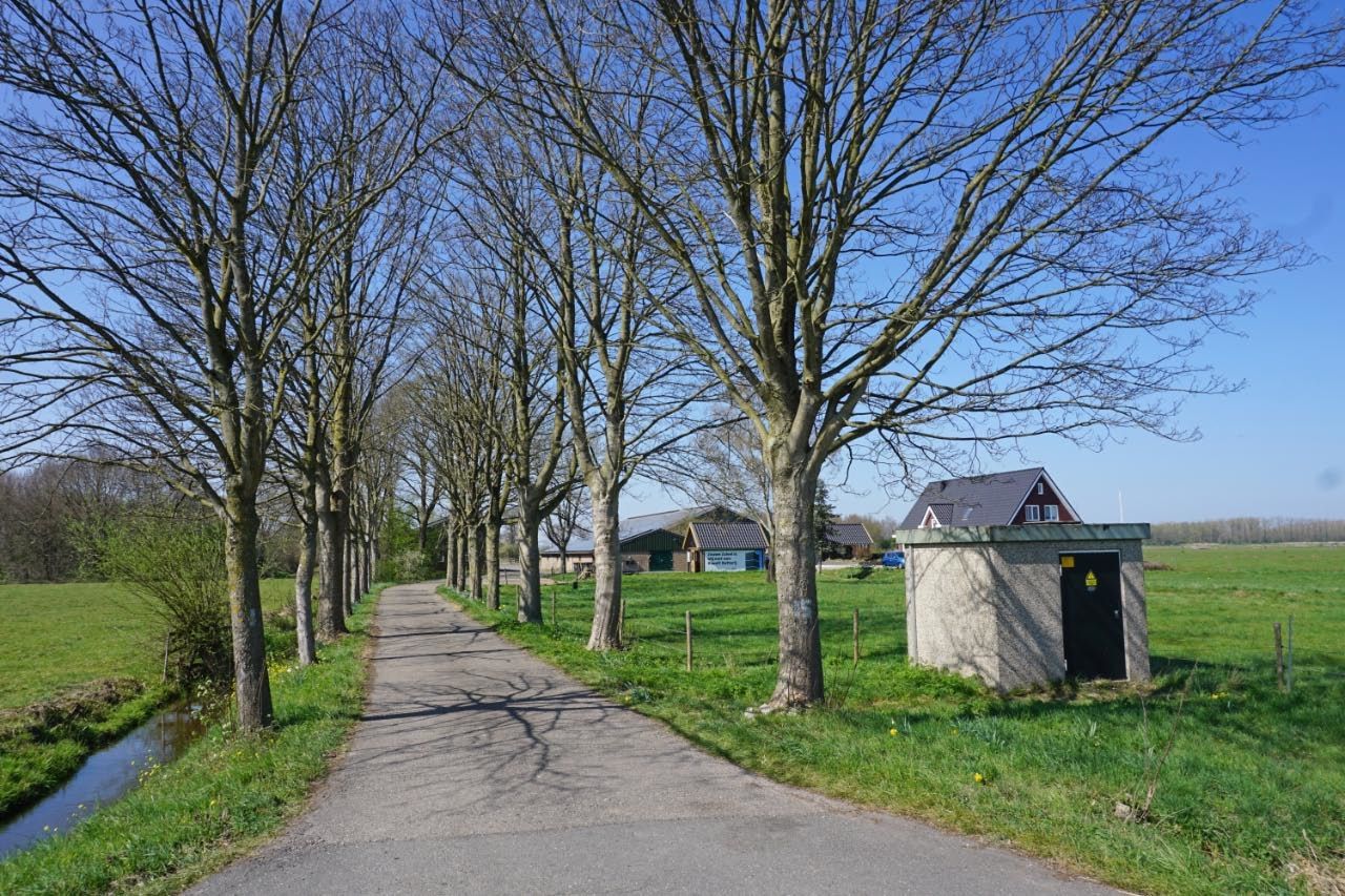 Bekijk foto 5 van Driemolensweg 15