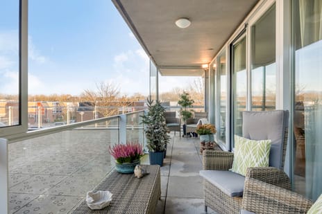 Cantharel 14 secondary image