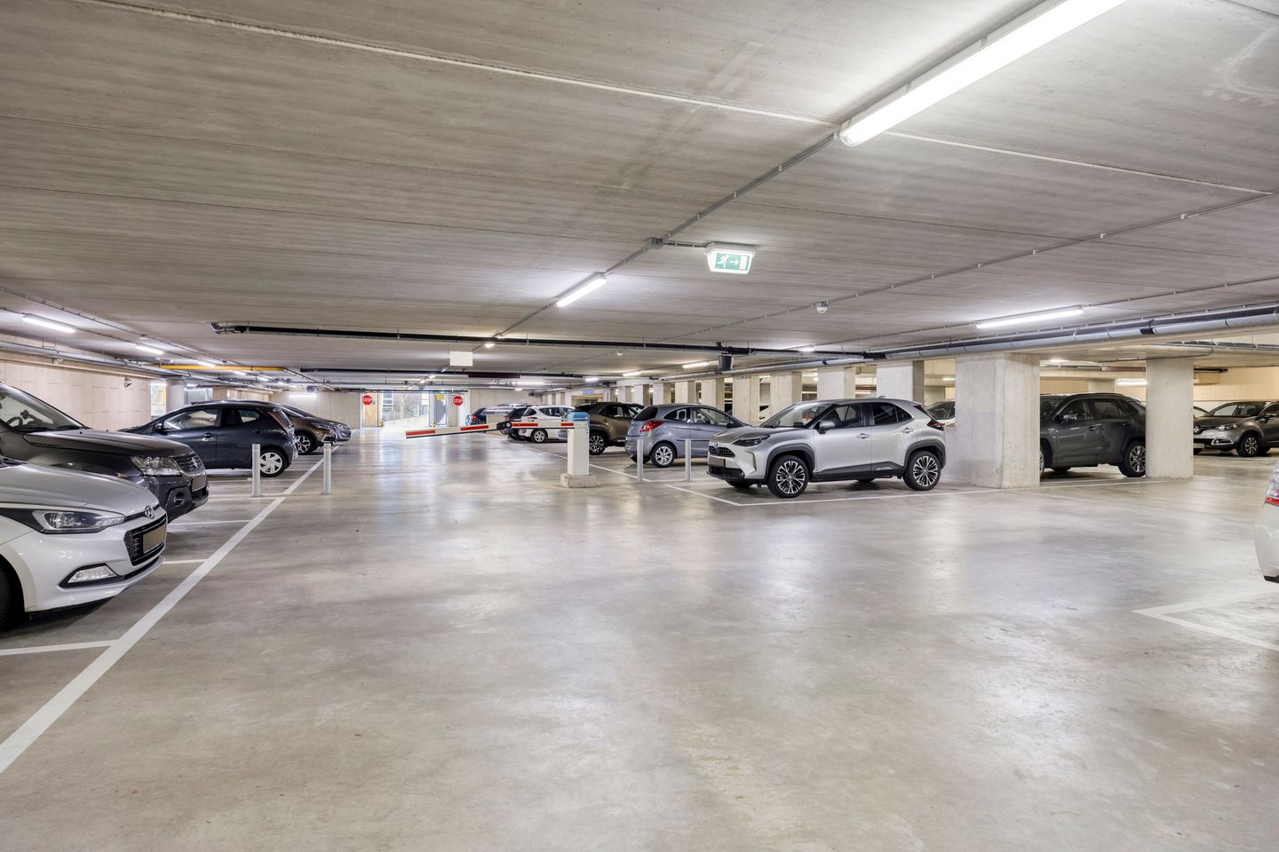 Foto 5 van Cantharel 14