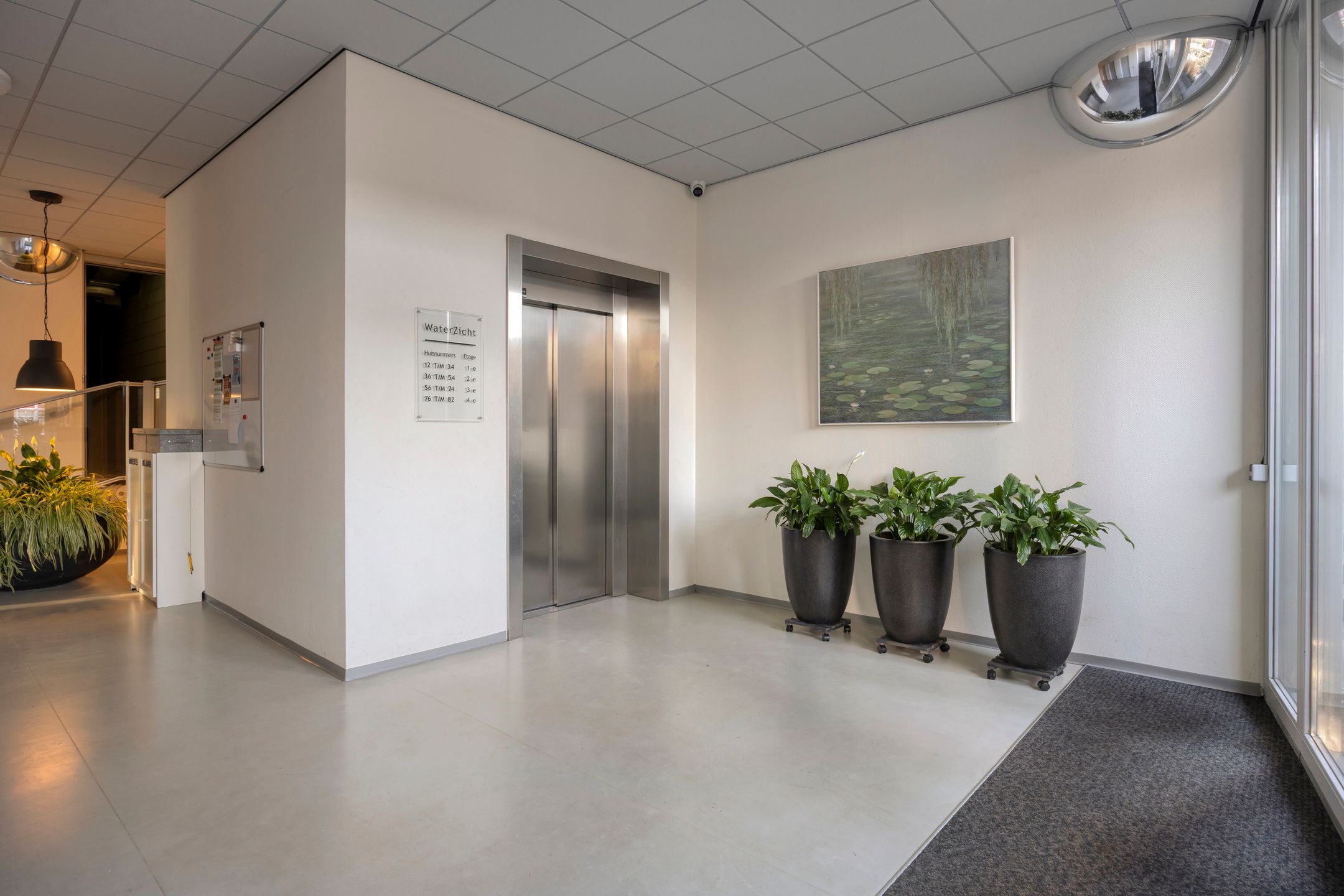 Foto 6 van Cantharel 14