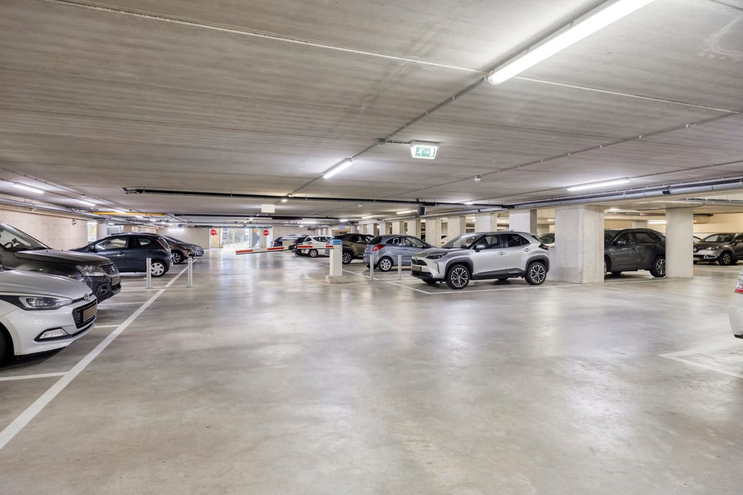 Foto 31 van Cantharel 14