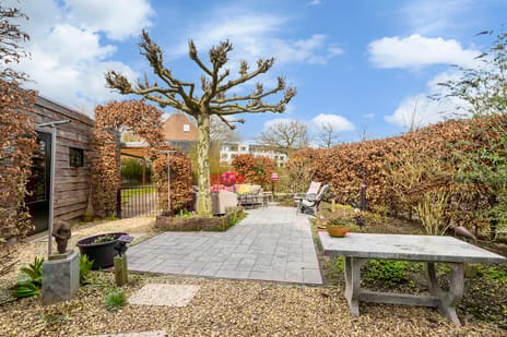 van Schaikstraat 4 secondary image