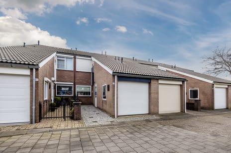 undefined main image