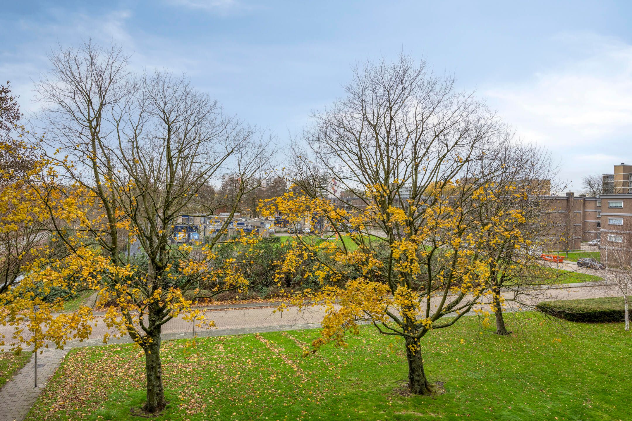 Foto 3 van Dotterlei 747