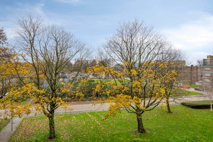 Foto 3 van Dotterlei 747