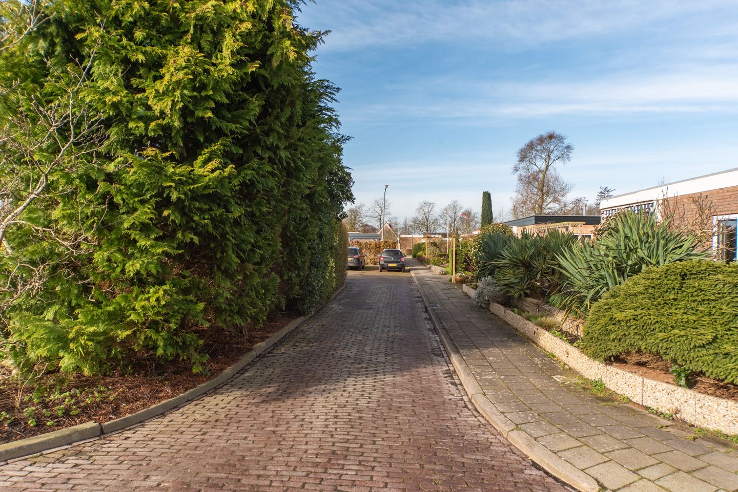 Photo 50 of Groteweid 11