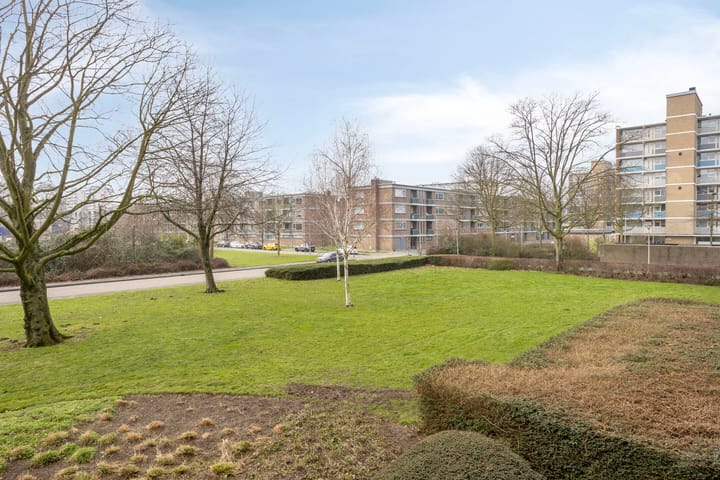 Foto 4 van Dotterlei 733