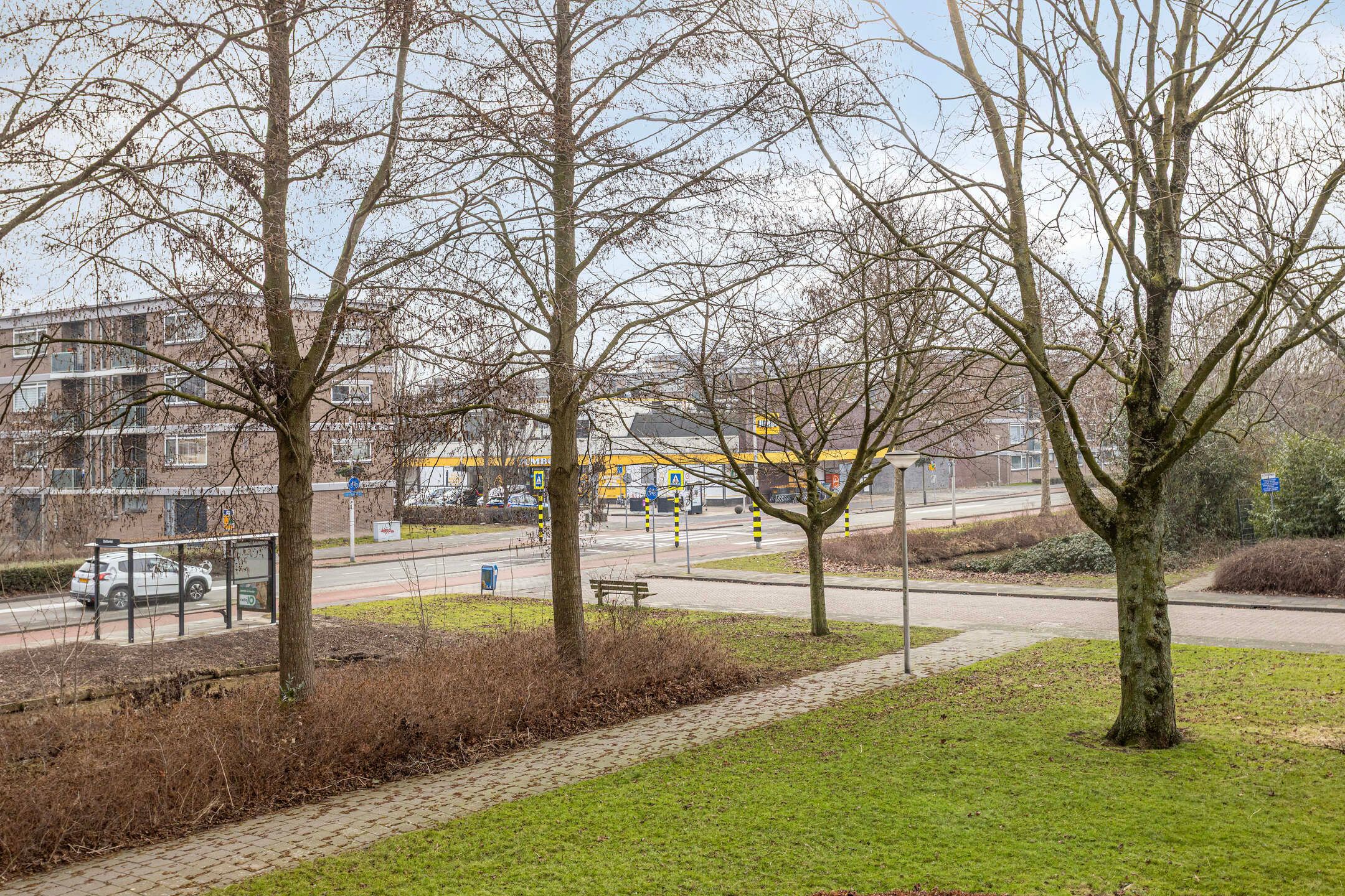 Foto 24 van Dotterlei 733