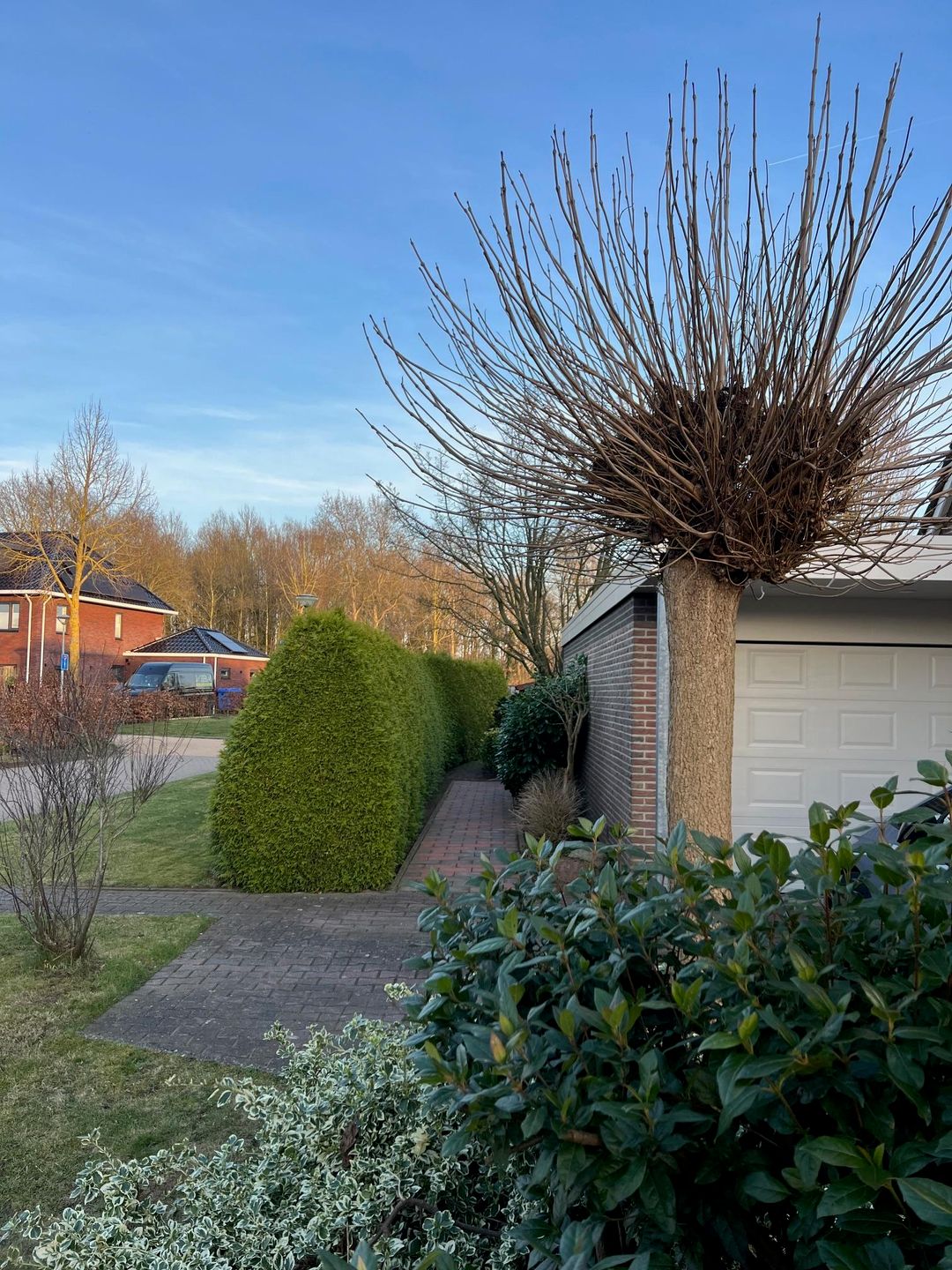 Foto 41 van Haverlanden 25