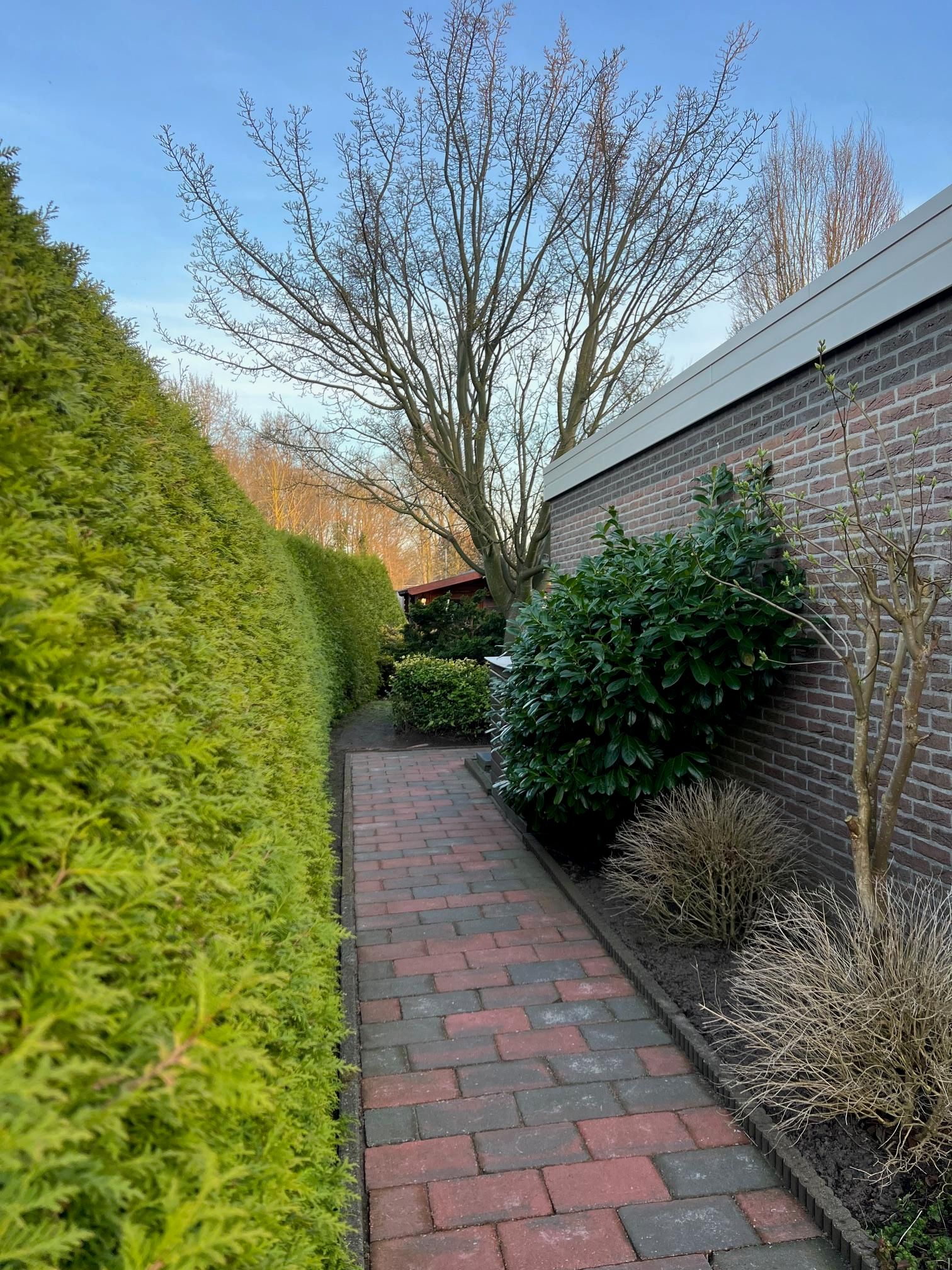 Foto 42 van Haverlanden 25