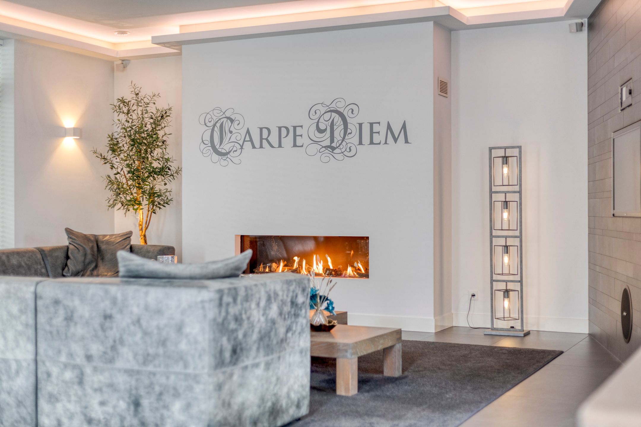 Foto 18 van Flamenco 8