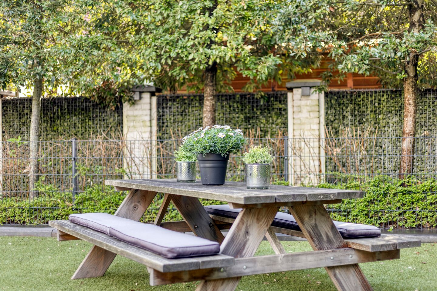 Foto 29 van Flamenco 8