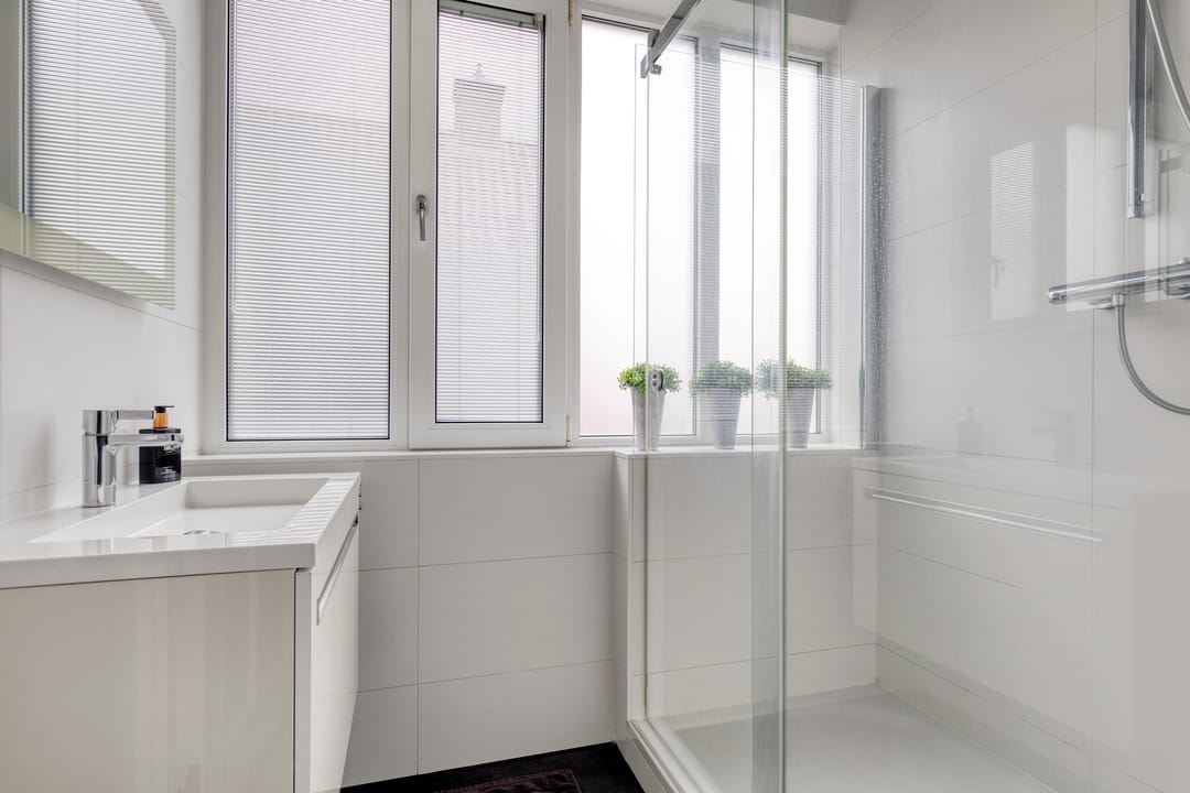 Foto 47 van Flamenco 8