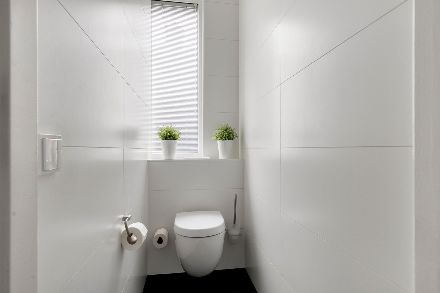 Foto 49 van Flamenco 8