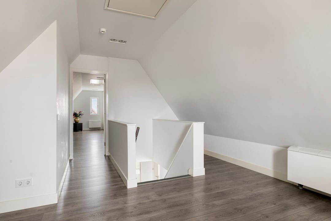 Foto 52 van Flamenco 8