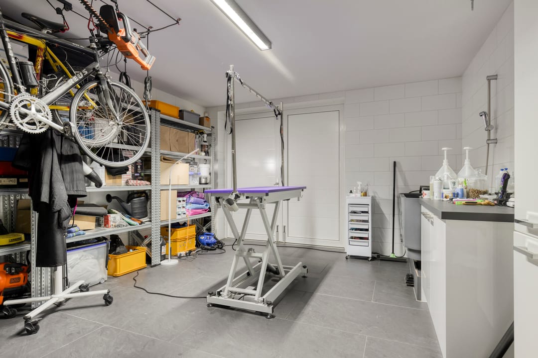 Foto 67 van Flamenco 8