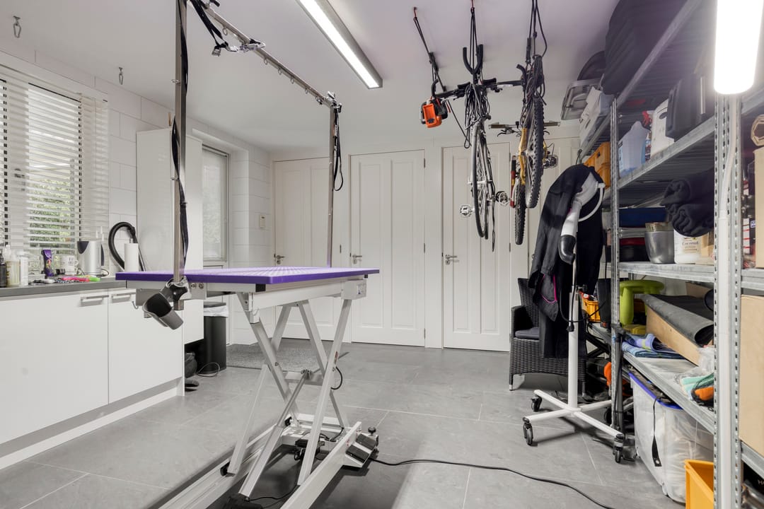 Foto 68 van Flamenco 8