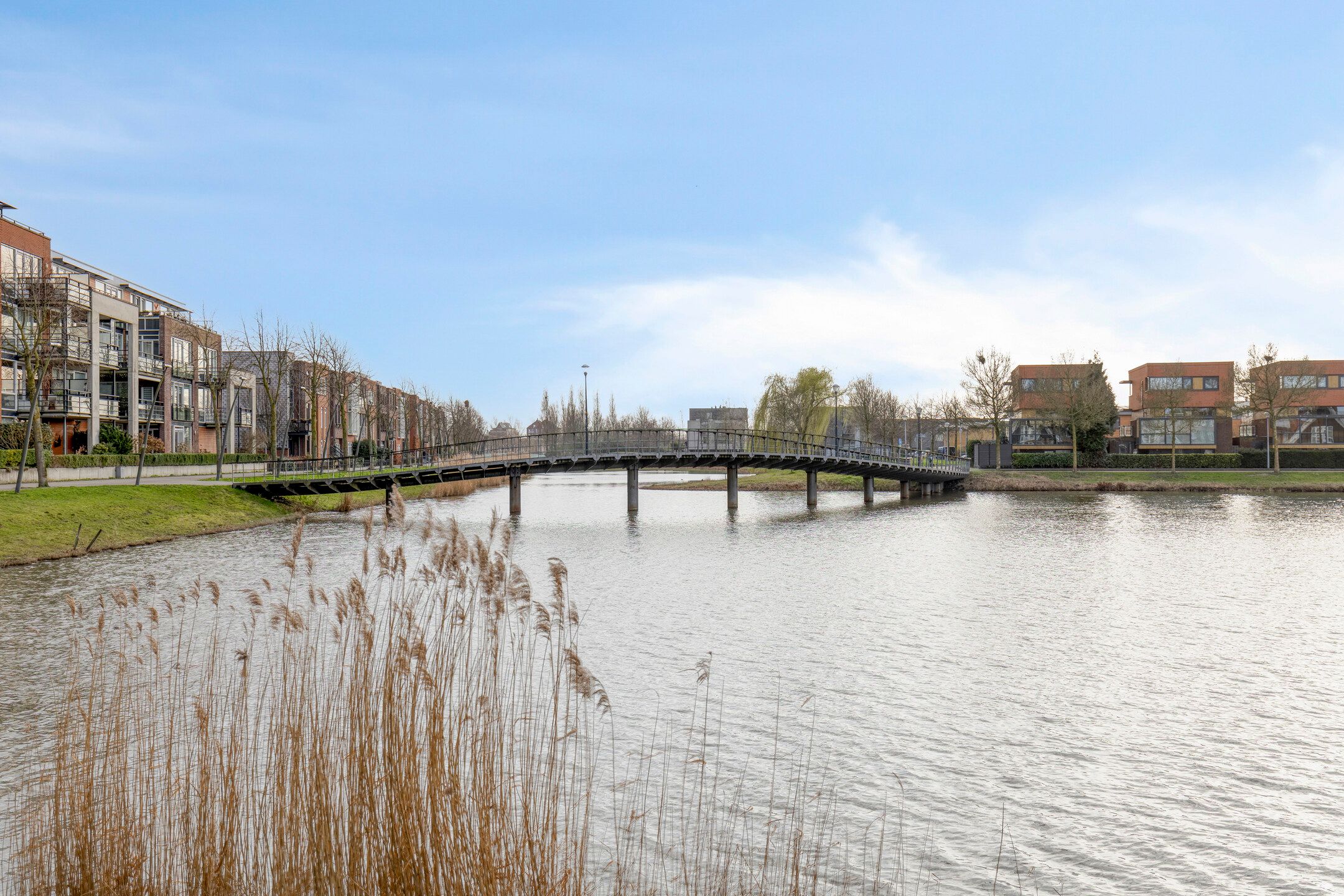 Foto 78 van Flamenco 8