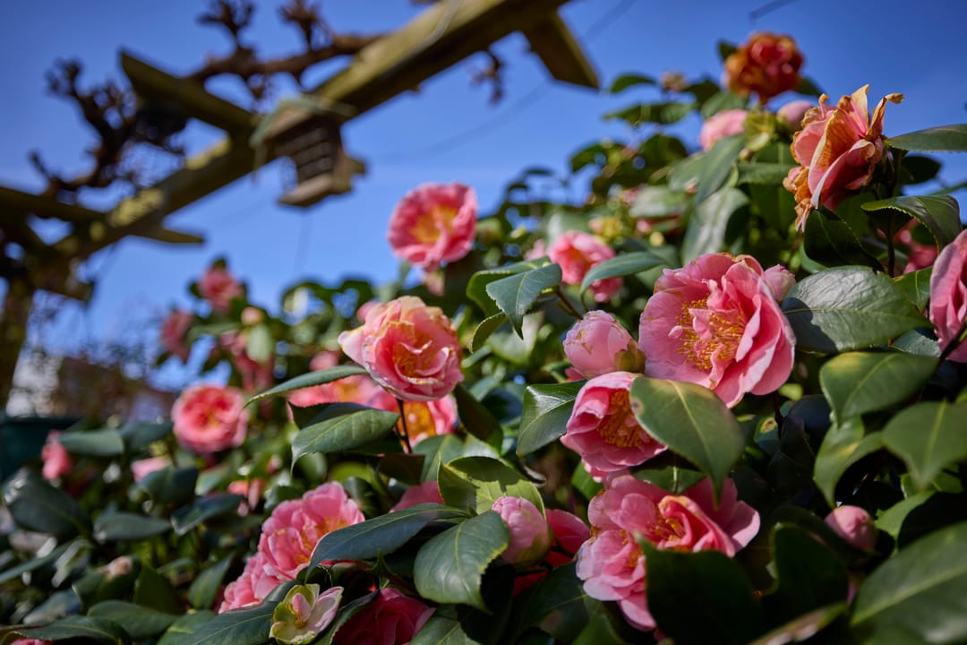 Foto 32 van Havikstraat 45-E