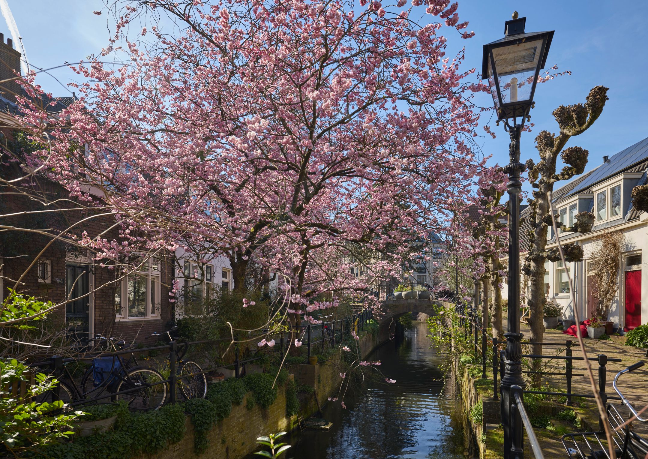 Foto 39 van Havikstraat 45-E