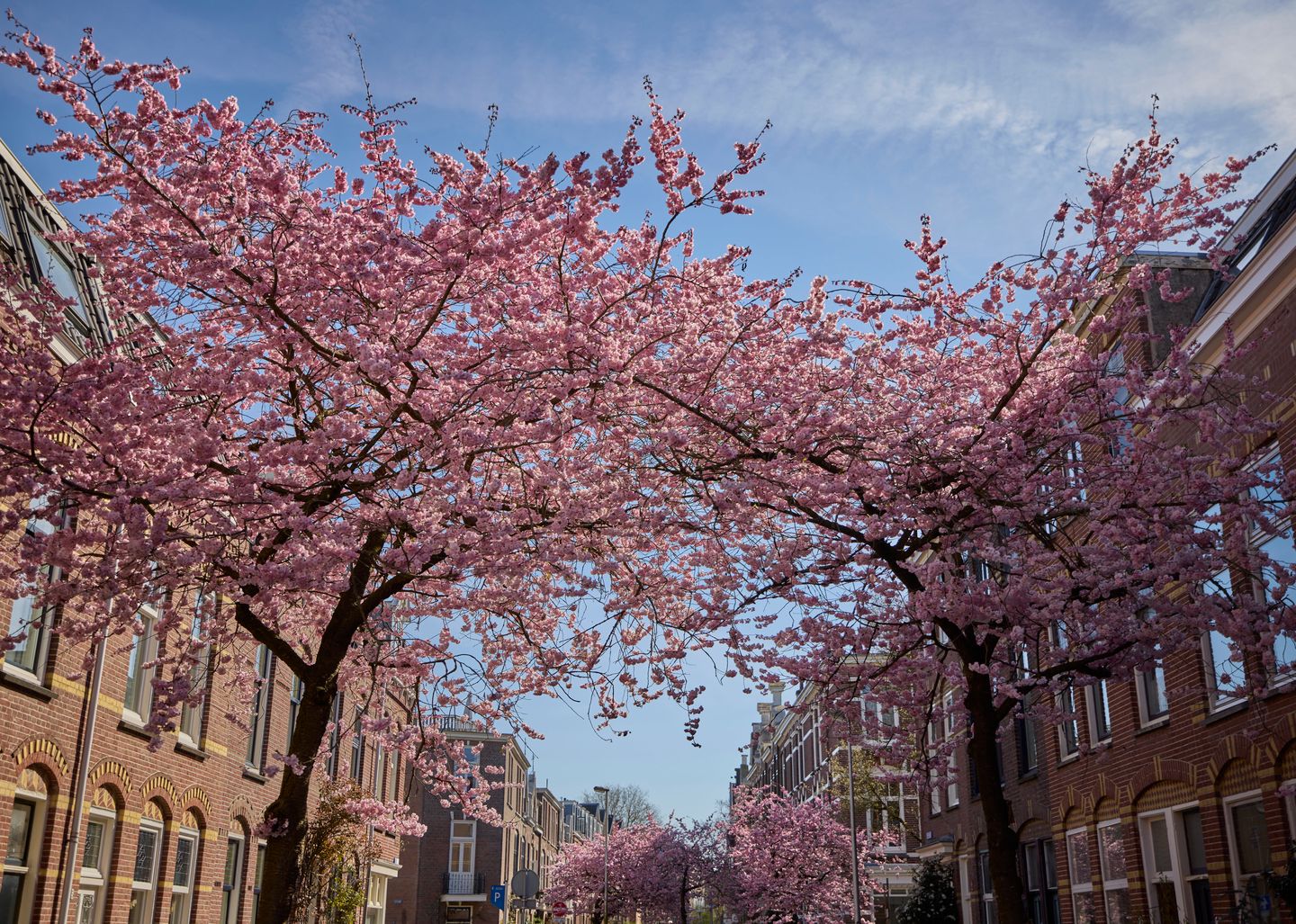 Foto 40 van Havikstraat 45-E