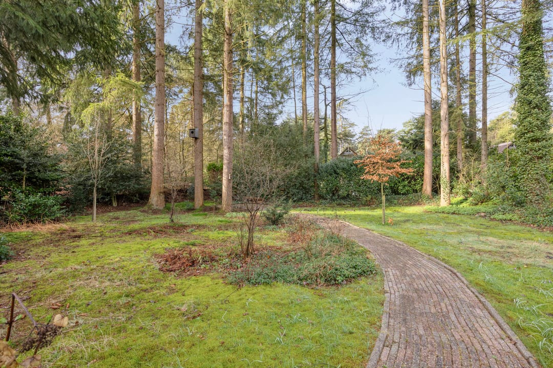 Photo 32 of 't Hertenspoor 134