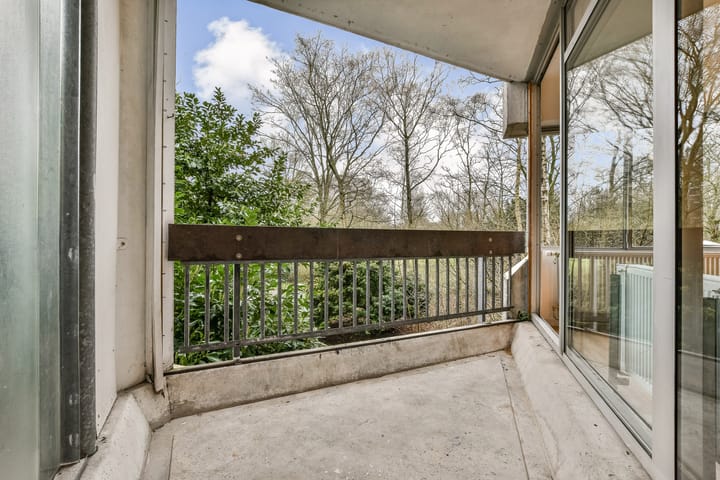 Foto 4 van Gouden Leeuw 1006