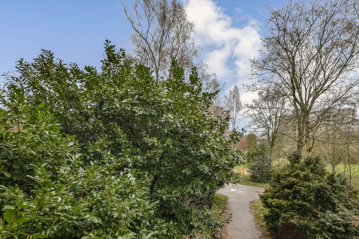 Foto 5 van Gouden Leeuw 1006