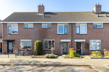 Van Reesstraat thumbnail