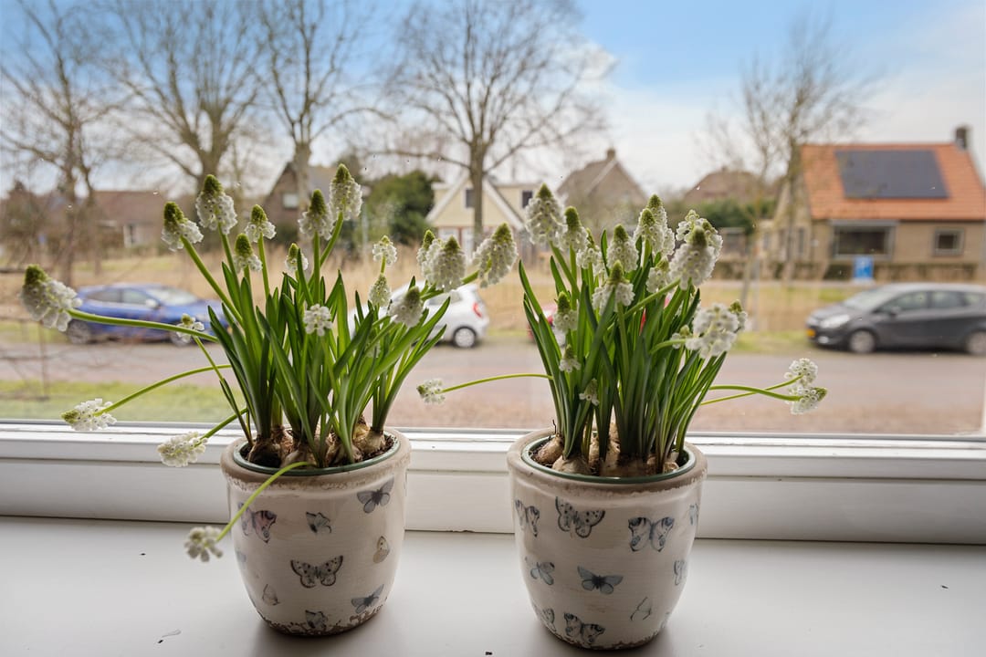 Foto 28 van Sportlaan 27