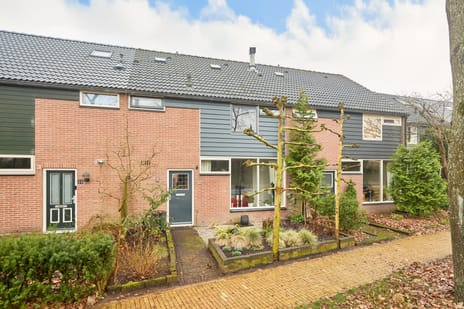 undefined main image