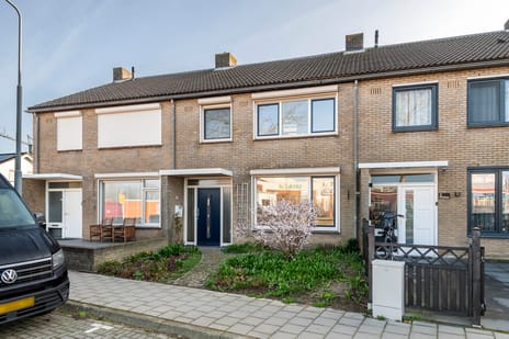 undefined main image