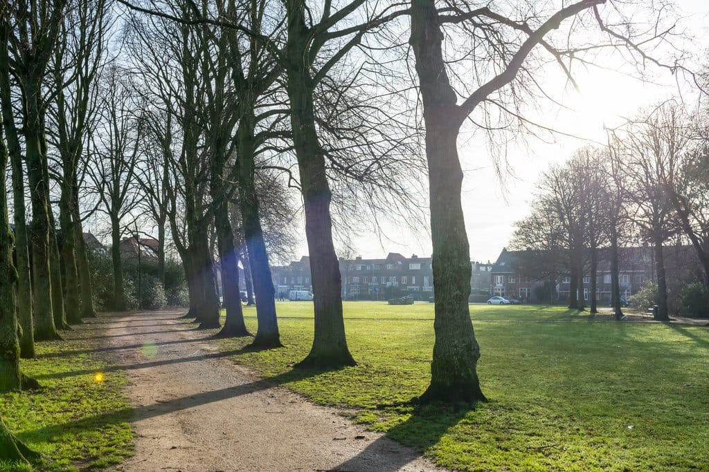 Photo 39 of Zaanenlaan 25